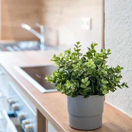 Casa Aguila - Ruhige, Zentrale 4 Zimmerwohnung In * Viernheim